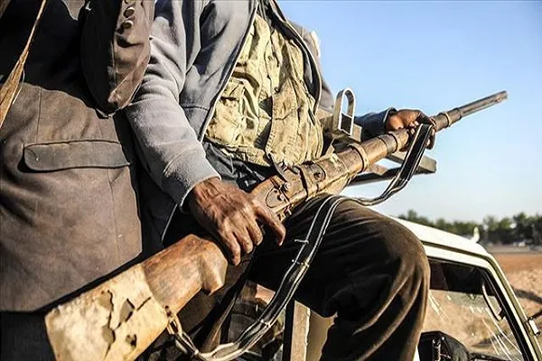 Boko Haram'ın rehin aldığı 17 kişi kurtarıldı