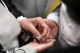 دیدار جمعی از علما، امامان جمعه و مدیران مدارس علمیه اهل سنت سراسر کشور
