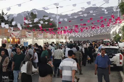 ششمین جشنواره آلبالو زنگنه‎