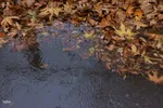 نغمه باران در اصفهان