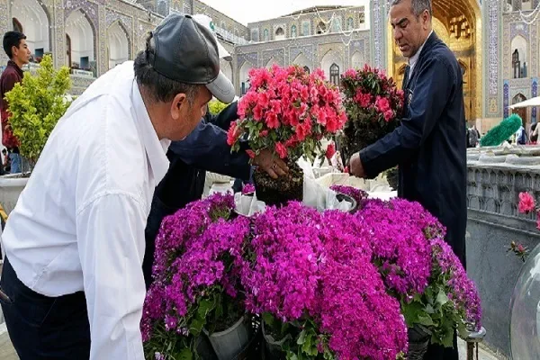 Santuário Sagrado do Imam Reza (a.s) decorado com 153.000 flores