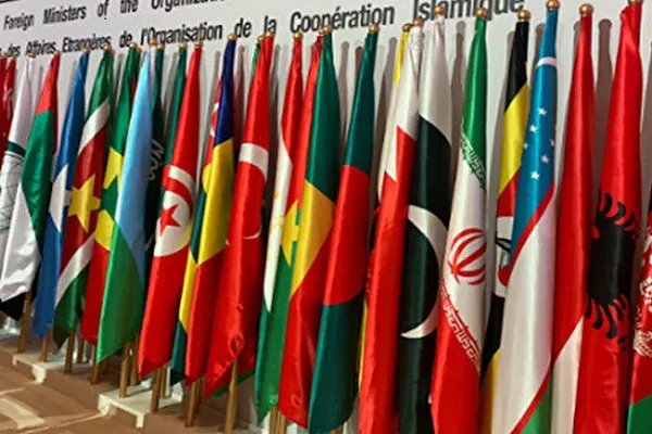 İİT: Hindistan'da Müslümanlara karşı saldırılar nedeniyle derin endişe duyuyoruz