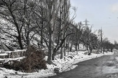رخت‌سفید زمستان بر تن شهمیرزاد