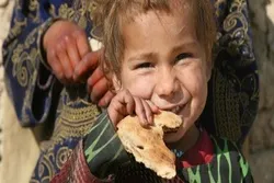 43 ölkədə aclığın ciddi səviyyədə olduğu bildirilir