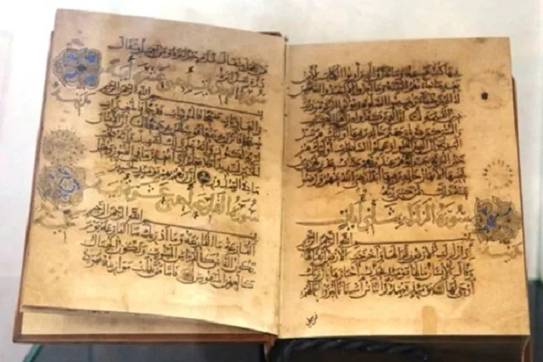 تنظيم معرض 