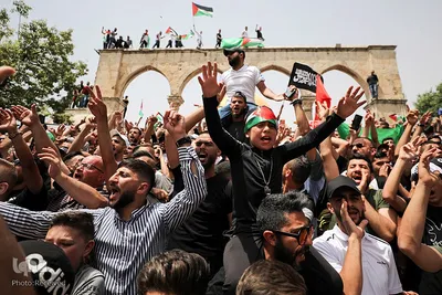 جشن پیروزی مقاومت مردم فلسطین