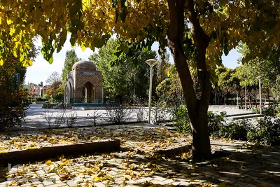 پاییز در سکوت/ مشهد مقدس