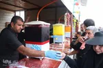 راهپیمایی اربعین حسینی(ع) در جاده نجف-کربلا/عکاس:طاها نظیری