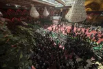 طنین فریاد «یا حسین» در مراسم عزاداری «طویریج» کربلا + فیلم
