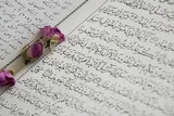 تمدید مهلت ثبت‌نام جشنواره قرآن و عترت دانشگاه‌های علوم پزشکی البرز تا ۱۵ اردیبهشت