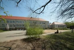 Berliner Schule stellt Muslimin vor die Wahl: Kopftuch oder Beruf?