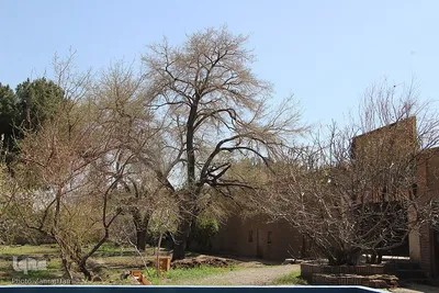 باغ رحیم‌آباد بیرجند