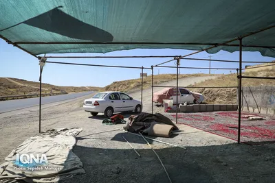 آماده‌سازی موکب‌ها برای استقبال زائران پیاده امام رضا(ع)
