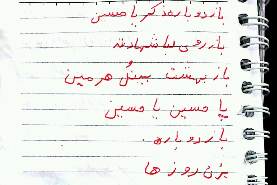 دلی که به عشق «بینُل هَرَمین» حسینی می‌شود