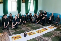 ДУМ РТ обеспечит заключенных Татарстана мясом 174 овец