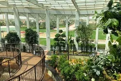 Dubai Quranic Park Named among Great Places to Visit