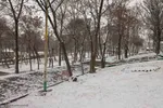 بارش برف در اهر