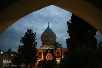 مراسم عزاداری شب سوم محرم در حرم علی ابن حمزه(ع)