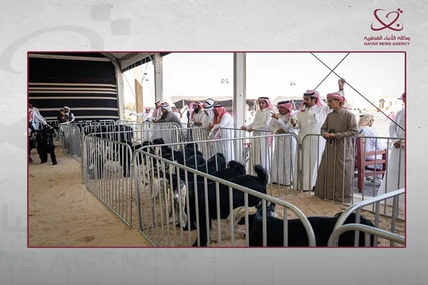 Le Qatar Halal Festival 2026 met à l’honneur l’excellence de l’élevage et la culture locale à Katara