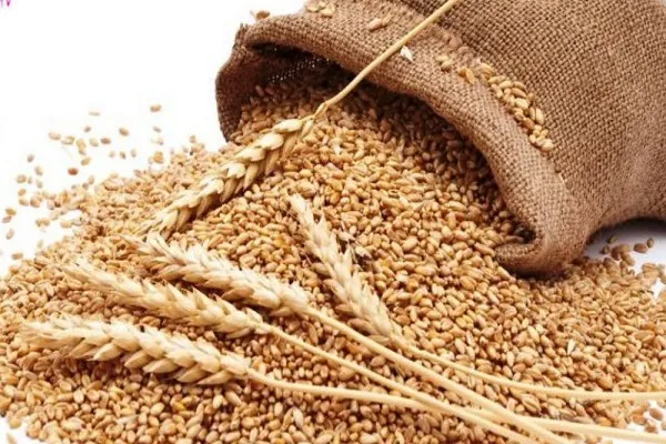 مردم چهارمحال‌وبختیاری بیش از ۳۰ میلیارد تومان زکات پرداخت کردند
