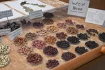 موزه علوم طبیعی دانشگاه تبریز