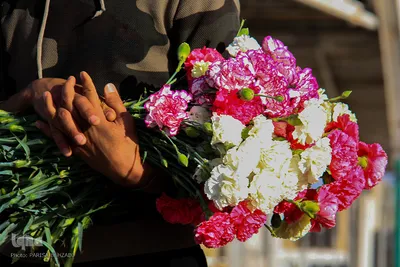 آخرین پنجشنبه سال/عکاس: پریسا بهزادی