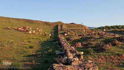 طبیعت بهاری شهرستان اهر در یک نگاه