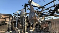 সেদিন ইরানের হামলায় অন্ধ হয়ে যায় যুক্তরাষ্ট্র: এএফপি'র প্রতিবেদন