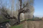 طبیعت بهاری روستاهای شهرستان اهر