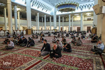 مراسم سوگواری شب شهادت امام حسن عسکری(ع) شاهچراغ