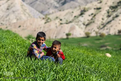 روستای قوله رش با ۴۹ خانوار و ۲۰۷ نفر از توابع ثلاث باباجانی در غرب استان کرمانشاه است، که در زمین لرزه اخیر این منطقه قریب به نود درصد منازل اهالی آن تخریب صد در صد داشته است، اما با گذشت حدود چهار ماه تمامی خانواده ها دارای کانکس هستند و ساخت خانه هایشان را آغاز کرده اند.