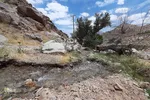 طبیعت زیبای شهرستان تفت