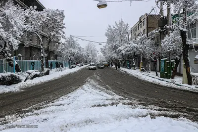 صبح برفی اراک