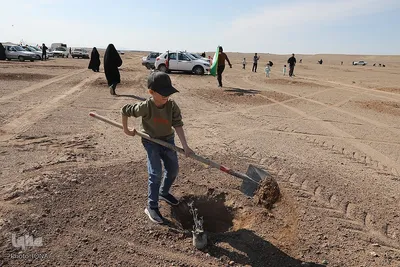 غرس نهال در روز طبیعت