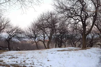 برف و یخبندان روستای «کردلر» در اهر