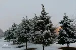 اصفهان در آغوش زمستان