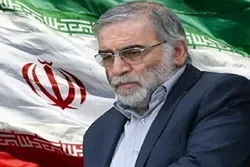 Ana Ci Gaba Da Mayar da Martani Kan Kisan Babban Masanin Nukiliya Na Iran Fakhrizadeh