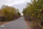 طبیعت پاییزی یزد در قاب تصویر