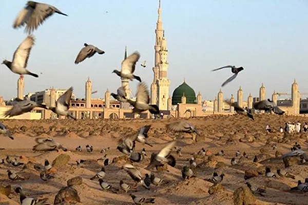 قرن وجرح البقيع شاهد عداء الوهابية وآل سعود للاسلام