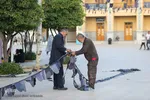 سیاه‌پوشی حرم مطهر حضرت شاهچراغ(ع)