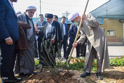 کاشت نهال زیتون توسط نماینده ولی فقیه در فارس
