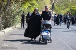 آیین پیاده‌روی جاماندگان اربعین حسینی در زنجان