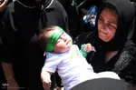 همایش شیرخوارگان حسینی در اهر