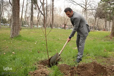 کاشت درخت توسط هنرمندان در فرهنگسرای نیاوران