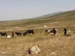 طبیعت زیبای قوشاداغ در اهر