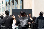 همایش شیرحوارگان در کرج