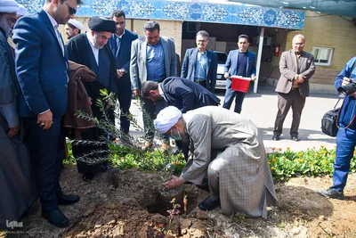 کاشت نهال زیتون توسط نماینده ولی فقیه در فارس