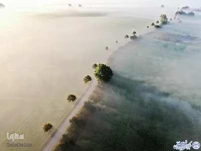 جاده ای مه آلود در جزیره فونن دانمارک