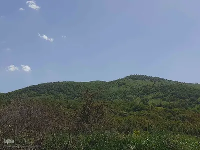 طبیعت بکر و زیبای منطقه گردشگری فندقلوی اهر