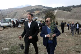 آیین درختکاری در پارک جنگلی  سد«لتیان» در شمال شرق استان تهران